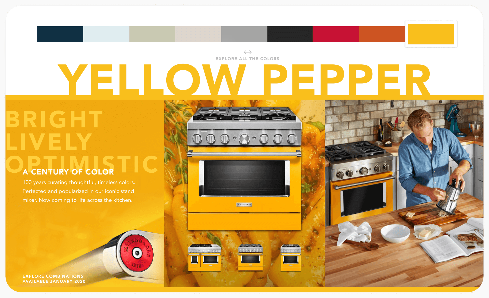YELLOW PEPPER_new_full